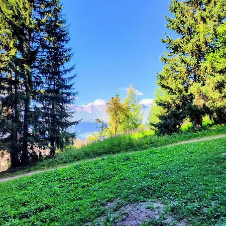 Belles Challes - Double Mae-7633 Les Arcs (Savoie)