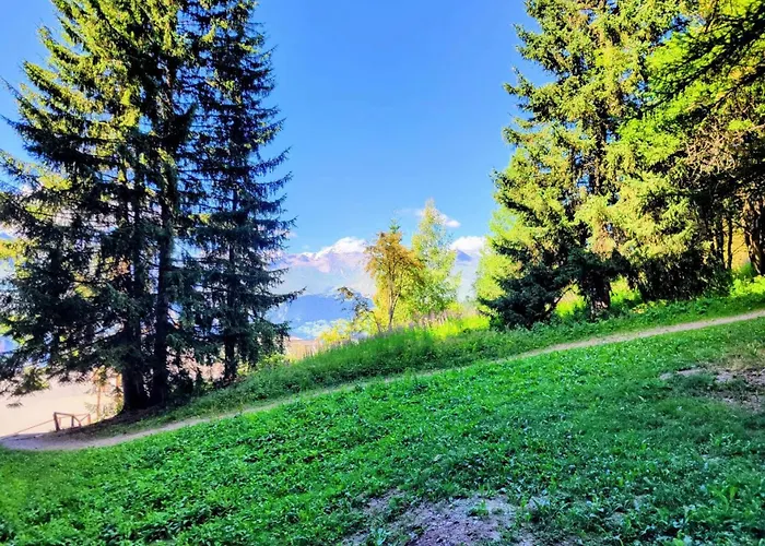 Belles Challes - Double Mae-7633 Les Arcs (Savoie)